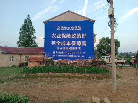 道孚墙体广告的优劣势你知道吗？